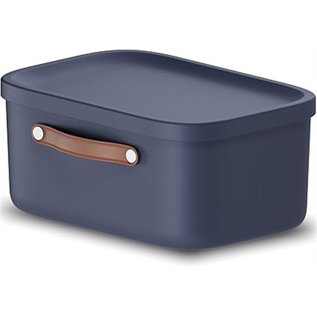 Rotho Caja de almacenaje con tapa y asa, 12 L, Azul