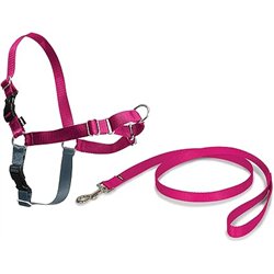 PetSafe Easy Walk - Arnés Antitirones para Perros, 4 Puntos de Ajuste, Adiestramiento de Perros, Evita Asfixia, Fácil de Poner y