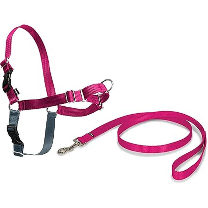 PetSafe Easy Walk - Arnés Antitirones para Perros, 4 Puntos de Ajuste, Adiestramiento de Perros, Evita Asfixia, Fácil de Poner y