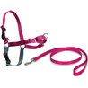 PetSafe Easy Walk - Arnés Antitirones para Perros, 4 Puntos de Ajuste, Adiestramiento de Perros, Evita Asfixia, Fácil de Poner y