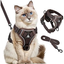 GlasFlength Arnés para Gatos con Correa, a Prueba de roturas, Correa para Gatos con arnés Ajustable para Gatos, Juego de arnés S