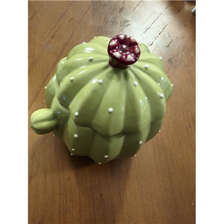 Excelsa Azucarero cactus 200 ml