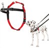 Arnés de control frontal HALTI - Para evitar que tu perro tire de la correa, Ajustable, Ligero y Fácil de Usar. Adiestramiento c